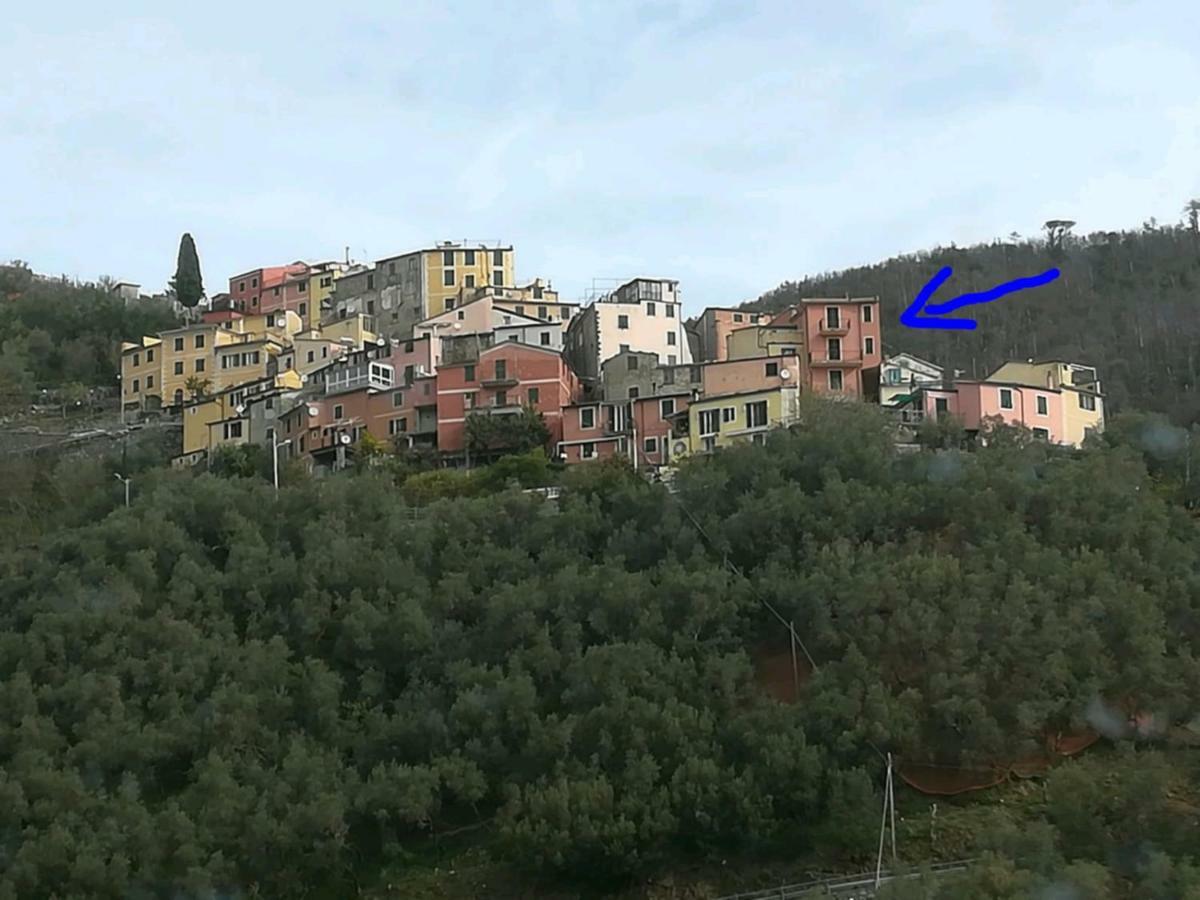 Casa Luna Rossa Levanto Dış mekan fotoğraf